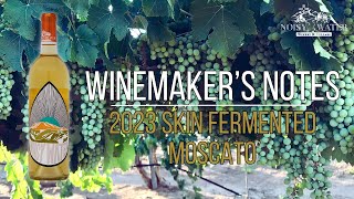 2023 Skin Fermented Moscato WMN Landscape [upl. by Bill]