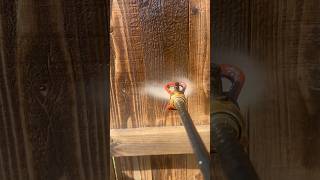 Fence Staining in Haslet Texas fencestaining [upl. by Ynaiffit]