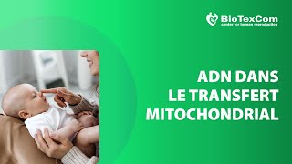 ADN de donneuse dans le transfert mitochondrial 2023 [upl. by Kokaras]