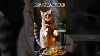 Siberian cat missed the pan and messed up the carrot cooking [upl. by Nora]