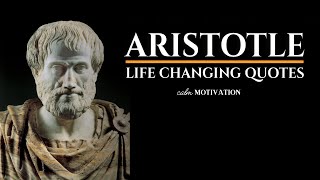 ARISTOTLE  LIFE CHANGING QUOTES  EXCELLENCE IS A HABIT [upl. by Nyvek]