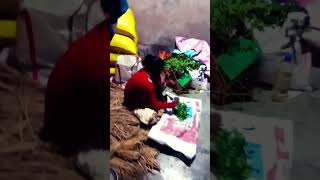 ARA SAREE Santali vlog video santalishortvideo [upl. by Yrrem802]