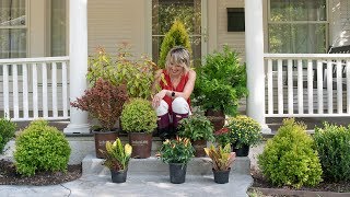 Fall Plants for the Porch [upl. by Schultz952]