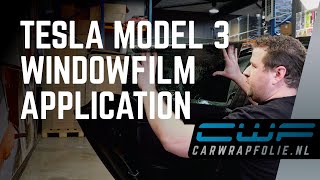 HOW TO  RAMEN TINTEN TESLA MODEL 3 DEMO VIDEO  CARWRAPFOLIENL [upl. by Eneroc635]