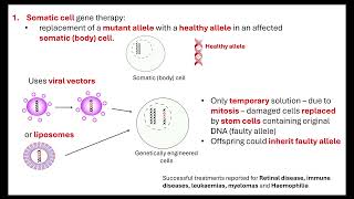 Gene therapy OCR A ALevel Biology 613 Manipulating genomes [upl. by Siwel]