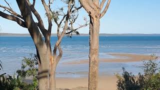 Welcome to our Hervey Bay Queensland Australia 🇦🇺 [upl. by Cheng778]