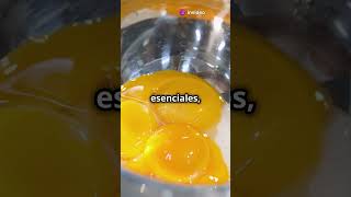 ¡La verdad sobre la yema del huevo 🥚 [upl. by Lewis]