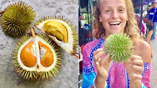 PEANUT BUTTER DURIAN durio graveolens IN BORNEO [upl. by Akiret540]