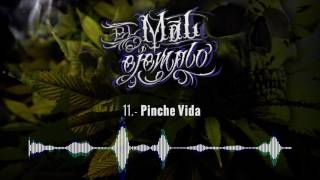 11 Pinche Vida  Santa Grifa El Mal Ejemplo VOL3 HD [upl. by Seale]