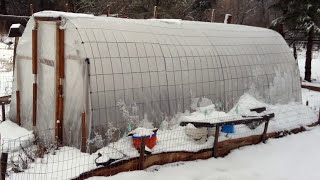 150 Greenhouse  Incredibly simple and sturdy [upl. by Justin]