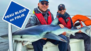 PÊCHE au REQUIN PEAU BLEUE guidé par JORIS Le RECORD est TOMBÉ 🦈 [upl. by Fogg63]