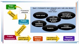 Aula de Patologia da Polpa e do Periápice [upl. by Karisa]