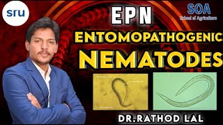 Entomopathogenic nematode EPN nematodes  entomologystudy nematode [upl. by Jan]