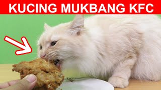 ASMR KUCING MAKAN AYAM KFC SPAGETI SOSIS IKAN [upl. by Kitti834]