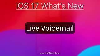 How to use Live Voicemail in iOS 17 for iPhone [upl. by Aziar485]