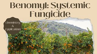 Understanding Benomyl A Comprehensive Overview of this Systemic Fungicide [upl. by Medorra]