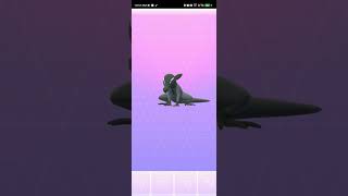 I got a Pokemon from egg A Salandit Pokemongo pokemongo pokemongocommunityday pokemongosafarizone [upl. by Gerianna]