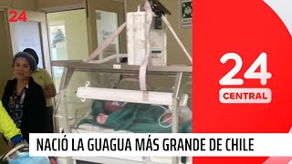 Nació la guagua más grande en la historia de Chile  24 Horas TVN Chile [upl. by Gervais]