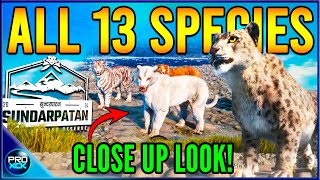 THEY KILLED JAXY  All Species Up Close amp Sundarpatan Release Date  theHunter Call of the Wild [upl. by Eilzel]