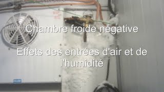 Froid97Effets des entrées dair et de lhumiditéchambre froide négative [upl. by Lovich38]