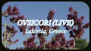 OVSICORI Live · Lakonia Greece [upl. by Novad154]