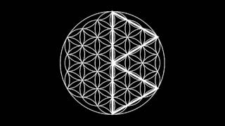 Runes in the Flower of Life [upl. by Yenterb306]