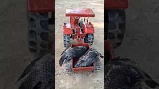 Remote control tractorremote wala gadiremote wala tractor john deereremote toytractors [upl. by Htiderem334]