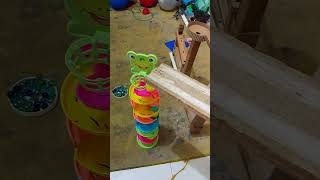 marble run marble game marblerun marbles marblerunrace marbleracePermainankelereng [upl. by Birkner]