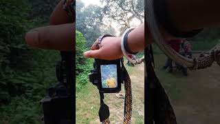 Nikon d3500 photography ideas 💡smartphone ytshorts ytshort camera [upl. by Comras985]