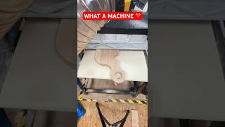 Axminster Professional Drum Sander in Action 🤩❤️👍 woodworking sanding [upl. by Olmstead]