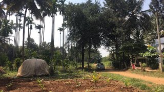 1 acres farm land for sale in DoddaballapuraBangalore rural 9535431839 [upl. by Aivax337]