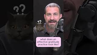 Most Effective GRATITUDE Practice 💝 hubermanlab neuroscience shorts [upl. by Upshaw]