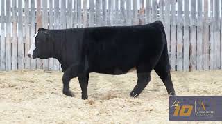 Lot 10  The Associate Invitational 2024 [upl. by Velleman]