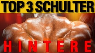 Top 3 Übungen  hintere Schulter [upl. by Boot536]