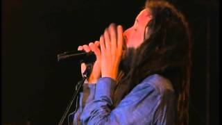 Alborosie live  Garance Reggae Festival 2014  Crazy Baldhead [upl. by Nryhtak]