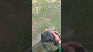 D90 camera unboxing camera photography shots [upl. by Nalorac]