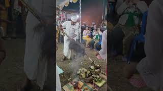 The closing ritual of family temple repurification ceremonybulelengbali hindu ritual [upl. by Nero]