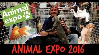 ANIMAL EXPO 2016  JAI GOUTE LA PATEE BIO POUR CHIEN [upl. by Giorgio817]