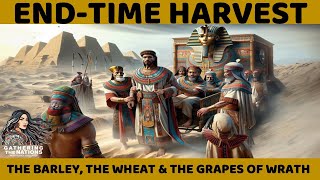 FULLNESS OF THE GENTILES an endtime harvest [upl. by Harleigh]