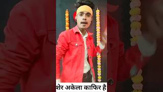 Sher Akela kaphi hai 😈⛓️ शेर अकेला काफिर है।bhojpuri rangdari song tuntun yadav viraltrending😈 [upl. by Perr874]