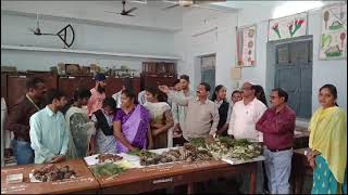 GYMNOSPERMS EXHIBITION in SRR GOVERNMENT ARTS amp SCIENCE COLLEGE KARIMNAGAR  Department of BOTANY [upl. by Ahsoj580]