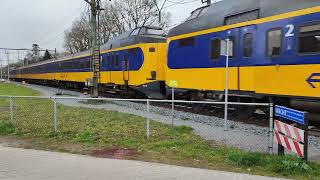 2X Toeter van Trein [upl. by Nagrom]