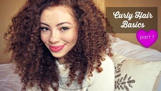 Curly Hair Basics Part 1  Porosity LOC Moisture [upl. by Heimer415]