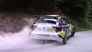 35 Rally Velenje 2020  Highlights amp Powerslides [upl. by Carrol]