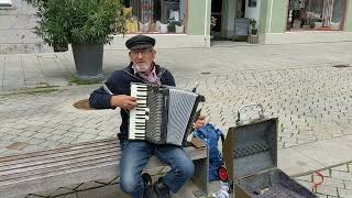 A street accordion player in a small town in Bavaria Mindelheim Germany2 [upl. by Welcy]