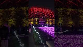 Christmas Lights Glow Missouri Botanical Gardens transsiberianorchestra Carol of the Bells [upl. by Haig]