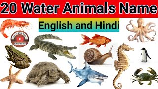 20 Water Animals Name In Hindi and English  land and water animals [upl. by Alsi]