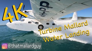 4k Turbine Mallard Water landing and take off [upl. by Carrelli302]