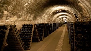 Cava Wine Tour  Sant Sadurni dAnoia Spain [upl. by Zimmer697]