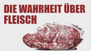 Das Problem mit Fleisch  Fleisch ist ungesund und macht krank [upl. by Saberio400]